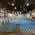 Dog Agility Mats Interlocking Tiles 3/4 Inch x 1x1 Meter customer review photo 2