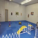 Dog Agility Mats Interlocking Tiles 3/4 Inch x 1x1 Meter customer review photo 1