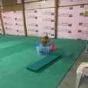 Dog Agility Mats Interlocking Tiles 3/4 Inch x 1x1 Meter customer review photo 1