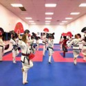 Martial Arts Karate Mat Premium 1 Inch x 1x1 Meter customer review photo 1