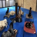 Dog Agility Mats Interlocking Tiles 3/4 Inch x 1x1 Meter customer review photo 1