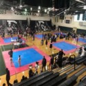 Pro Taekwondo Martial Arts Mats 20 mm x 1x1 Meter customer review photo 1