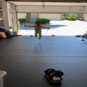 Roll Out Wrestling MMA Mats 5x10 Ft customer review photo 1