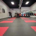 Martial Arts Karate Mat Premium 1 Inch x 1x1 Meter customer review photo 1