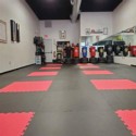 Martial Arts Karate Mat Premium 1 Inch x 1x1 Meter customer review photo 1