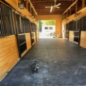 Sundance Mats Interlocking 3/4 Inch x 4x6 Ft. customer review photo 1