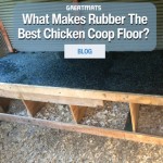flooring for a chicken coop thumbnail