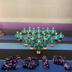 Pricing of Cheerleading Mats and Rolls thumbnail