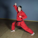 Karate Front Stance thumbnail