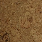 color options for cork flooring thumbnail