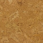 cork flooring thumbnail
