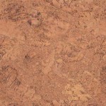 cork flooring thumbnail