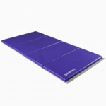 Folding Gym Mat Gymnastics 4x8 ft x 2.5 inch V2