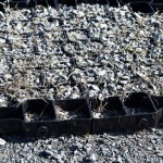 gravel under pavers thumbnail