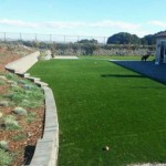 Artificial grass turf options for indoor, soccer, baseball and pets