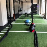 gym turf thumbnail