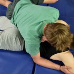 home wrestling mats fold up thumbnail