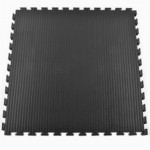 Judo Mat Lite Full Tile thumbnail