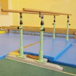 Safety Gymnastic Mats Non-Fold 5x10 ft x 4 inch