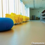 commercial vinyl flooring in library thumbnail