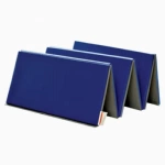 Folding Gymnastics Mats 4x8 ft x 2.5 inch V4 
