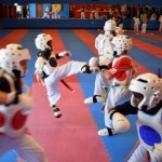 20 mm Thick Striking Arts Mats for Sparring thumbnail