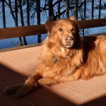 deck outdoor tiles thumbnail