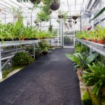 Greenhouse flooring provides drainage thumbnail