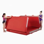 Safety Gymnastic Mats Bi-Fold 5x10 ft x 8 inch 