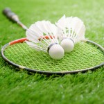 Badminton Turf thumbnail