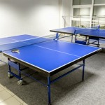 table tennis carpet flooring thumbnail
