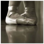 Dance and Stage Pro Floor: marley dance floors