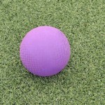 kickball field with artificial turf thumbnail