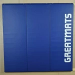 Safety Wall Pad 1x7 Ft x 2 Inch WB LipTB ASTM