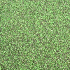 Envirofill Green/Black Blend Putting Green 30/50 Mesh