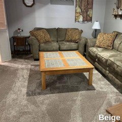 LCT Plush Luxury Carpet Tile 60 oz 24 x 40 Inches Carton of 5 basement