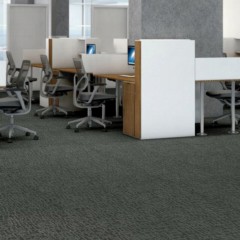 Genius Commercial Carpet Tiles 2.3 mm x 24x24 Inches 20 Per Case