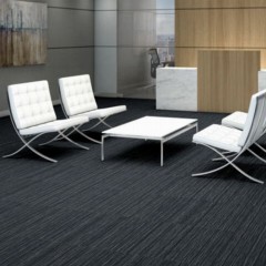 Intellect Commercial Carpet Tiles 6.3 mm x 24x24 Inches 20 Per Case