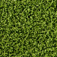 EZ-Putt 2 Artificial Grass Turf 1/2 Inch x 15 Ft. Wide per SF