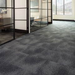 Understatement Commercial Carpet Tile .31 Inch x 50x50 cm per Tile