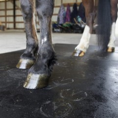 Horse Stall Mat Classic Interlocking 3/4 Inch x 10x10 Ft. Kit grooming area