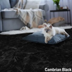 HomeStyle Stone Floor Tile cambrian black living room with cat