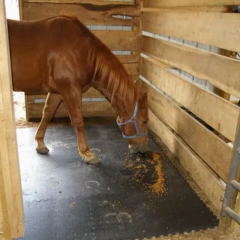 Supersoft Interlocking Stable Floor Horse or Pony Mat EVA 32mm Thick 1m x 1m 