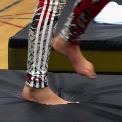 Gymnastic Crash Mats Non-Fold 5x10 ft x 8 inch