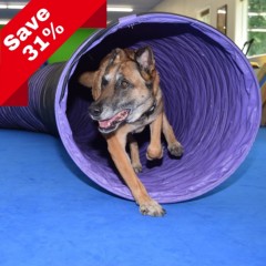 Dog Agility Mats Interlocking Tiles 3/4 Inch x 1x1 Meter