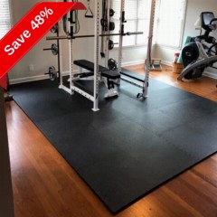 Best Buy grosser NEXT 48ft Gym
