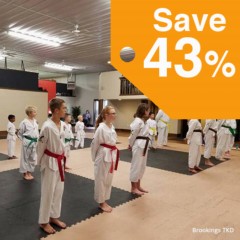 Martial Arts Karate Mat Premium 1 Inch x 1x1 Meter