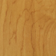 Full Maple tile of SnapLock Dance Floor XL Standard Tiles 1/2 Inch x 18x18 Inches