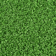 Greatmats Gym Turf Select 1/2 Inch x 12 Ft. Wide  Per LF