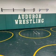 Audubon Wrestling Gym with Green Safety Wall Pad 2x6 Ft x 2 inch WB Z-Clip ASTM